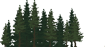 Trees - trees_fir-trees.png