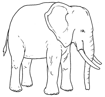 Zwierzęta egzotyczne i hodowlane - słoń 1.gif