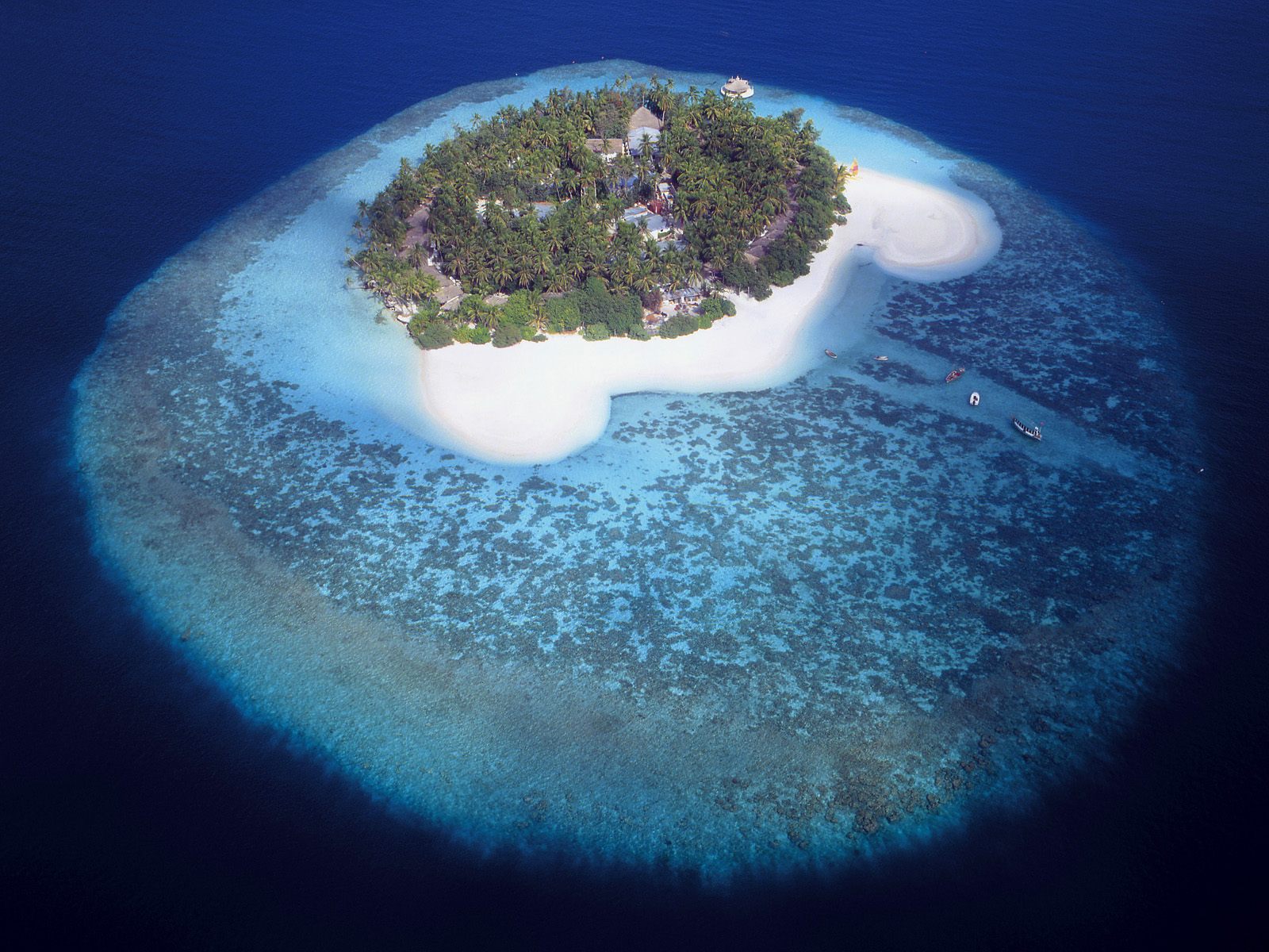 wyspy - Aerial View of a Tropical Island, Maldives.jpg