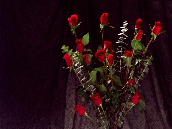 RÓŻE1 - Nature_Flowers_Bunch_of_red_roses__Flowers_008246_.jpg