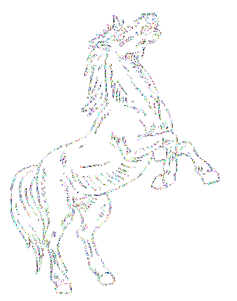 Konie - 026.gif