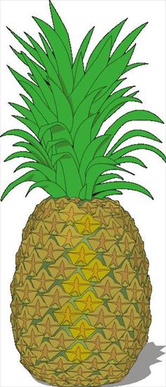 owoce i warzywa - pineappl.JPG