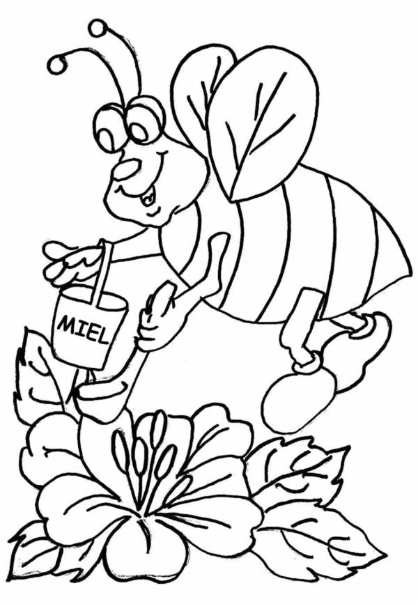 owady - pszczoła 7.jpg