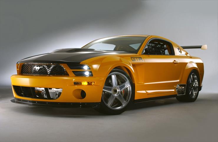Tuning - 2004-Mustang-GT-R-C-3.jpg