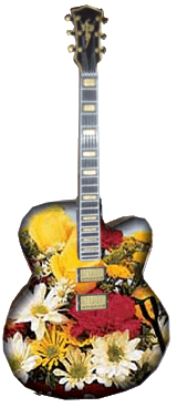 gitary - gitarr_142.gif