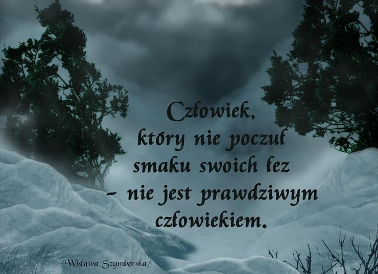 Wisława Szymborska cytaty - ws011.jpg
