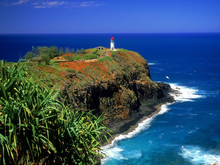 Latarnie morskie - Kilauea Lighthouse, Kauai, Hawaii.jpg