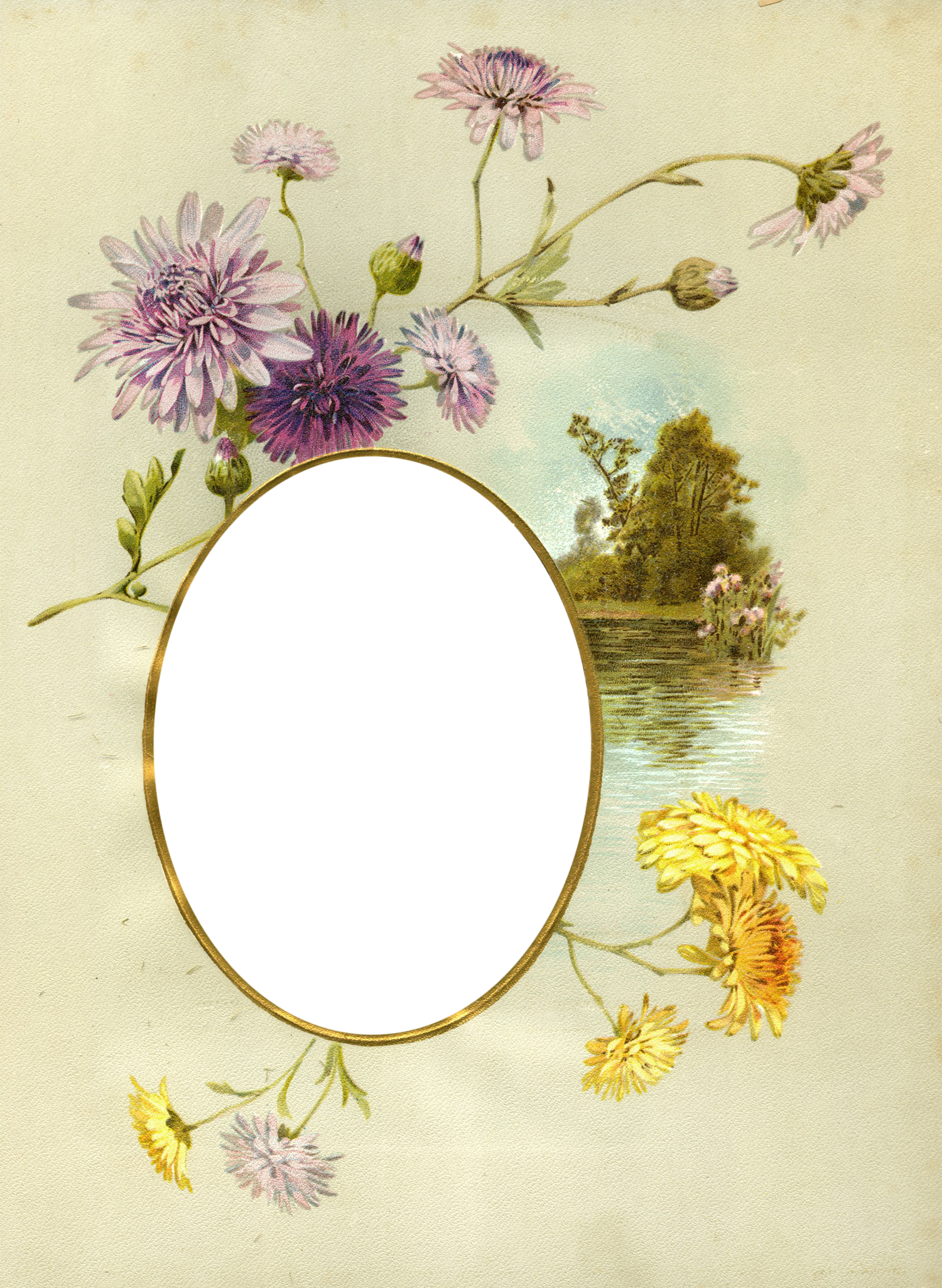 kwiaty - Floral_Frame_No7_by_DustyOldStock.png