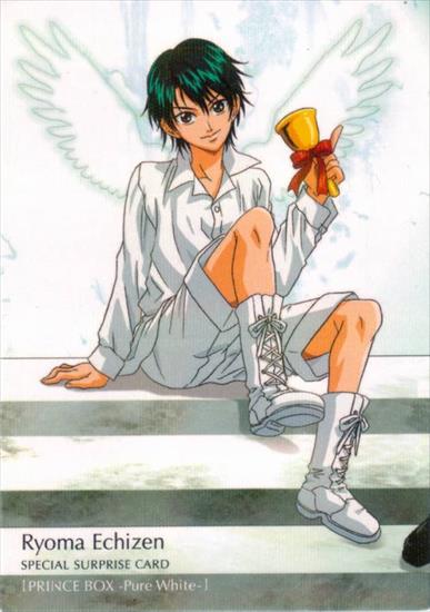 Manga i anime obrazki, tapety itp.1 - largeAnimePaperscans_Prince-of-Tennis_NekoiEchizen_102854.jpg