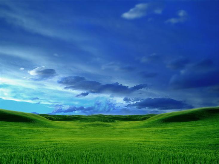 Krajobrazy - Grassy.jpg