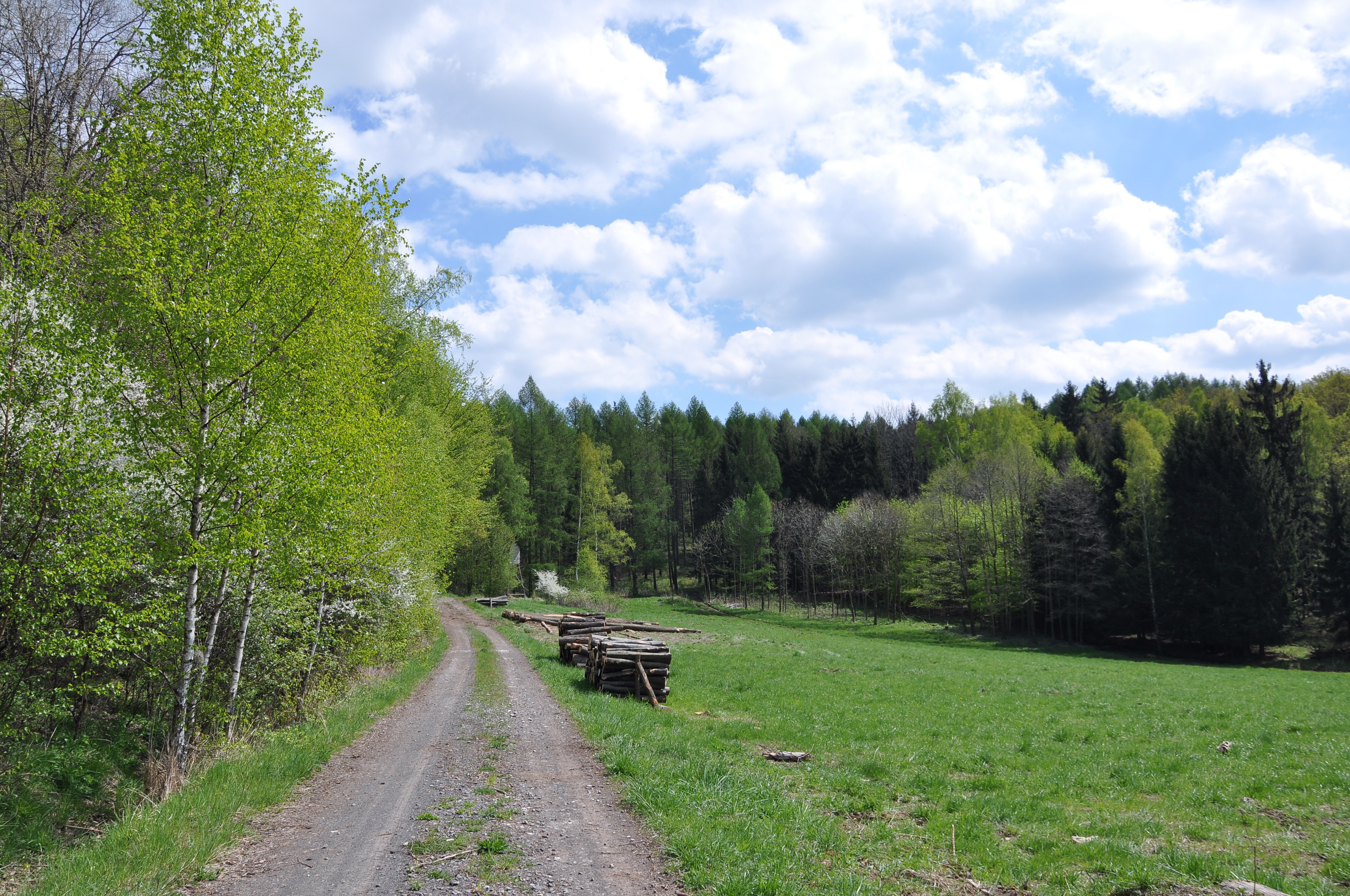 Rezerwat nad Groblą-Czechy - dsc_4376_25477743780_o1.jpg