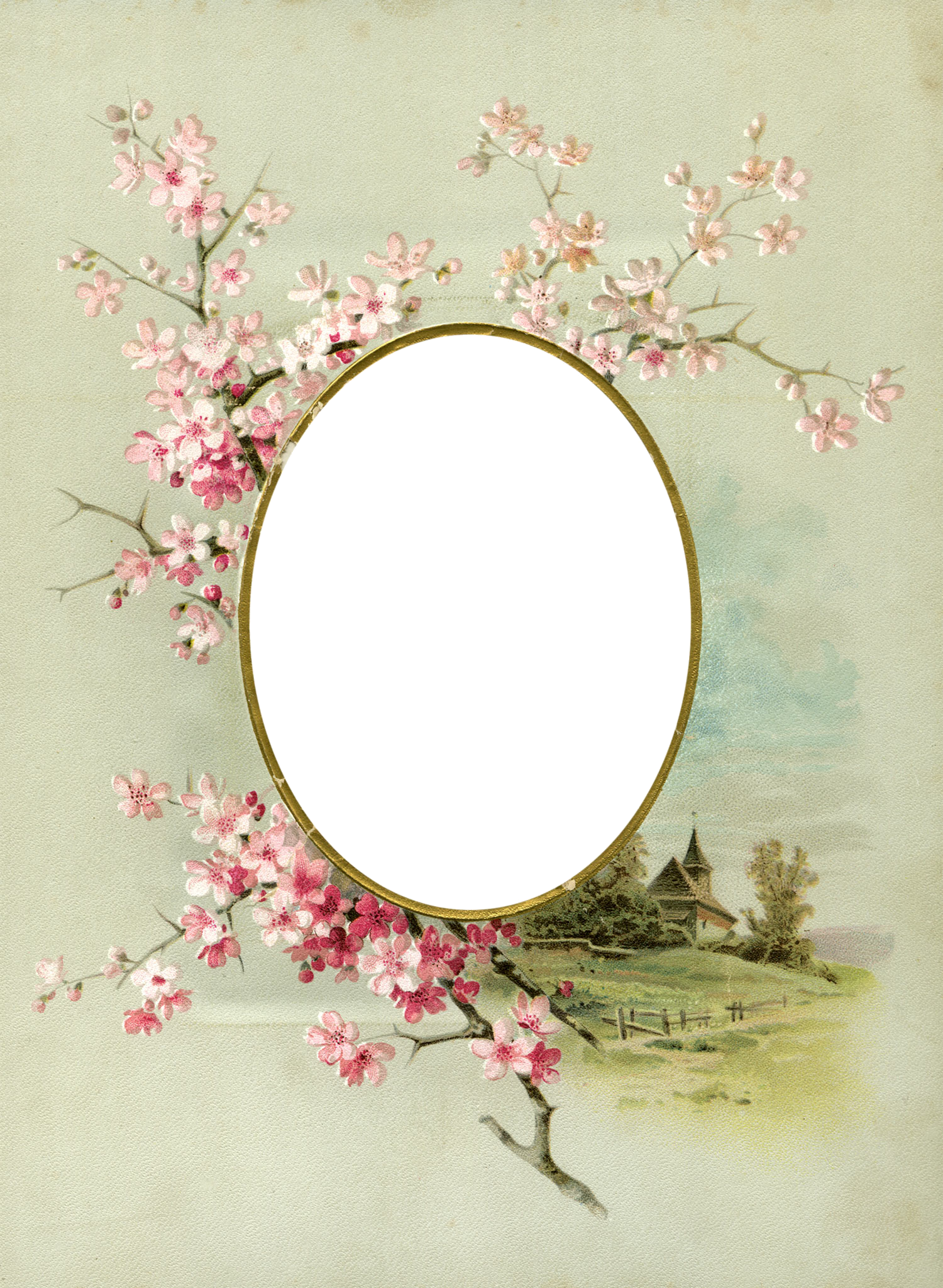 kwiaty - Floral_Frame_No4_by_DustyOldStock.png