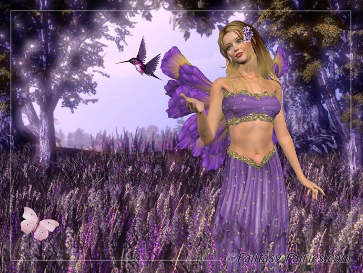 ELFY , NIMFY , LEŚNE DUSZKI - lavender_fairy01b.jpg