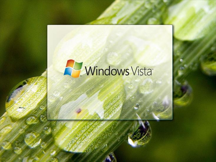 Windows Vista - 96d.jpg