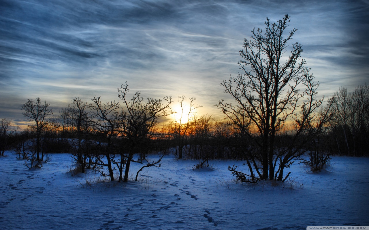 zima - winter_sunset_scene-wallpaper-1280x800.jpg