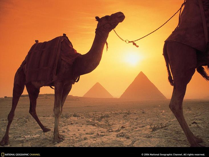 Akcenty egipskie czasy Faraona - 08 - WNG.jpg