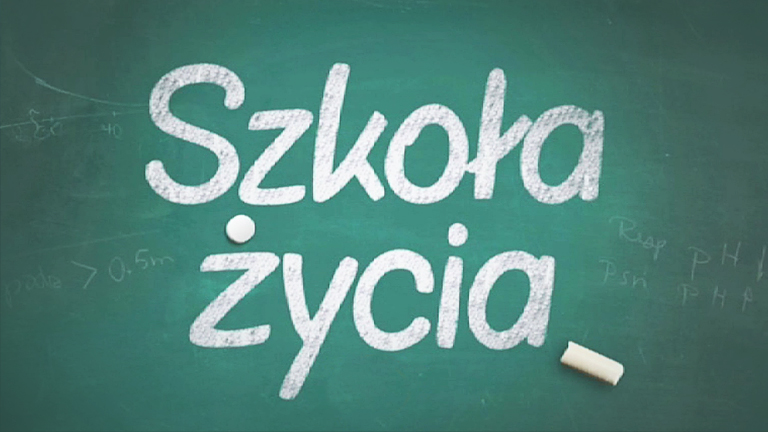 Szkoła życia - 2013 - Szkoła życia - 2013.png