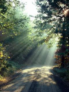 natura - light-at-the-end-of-the-road.jpg