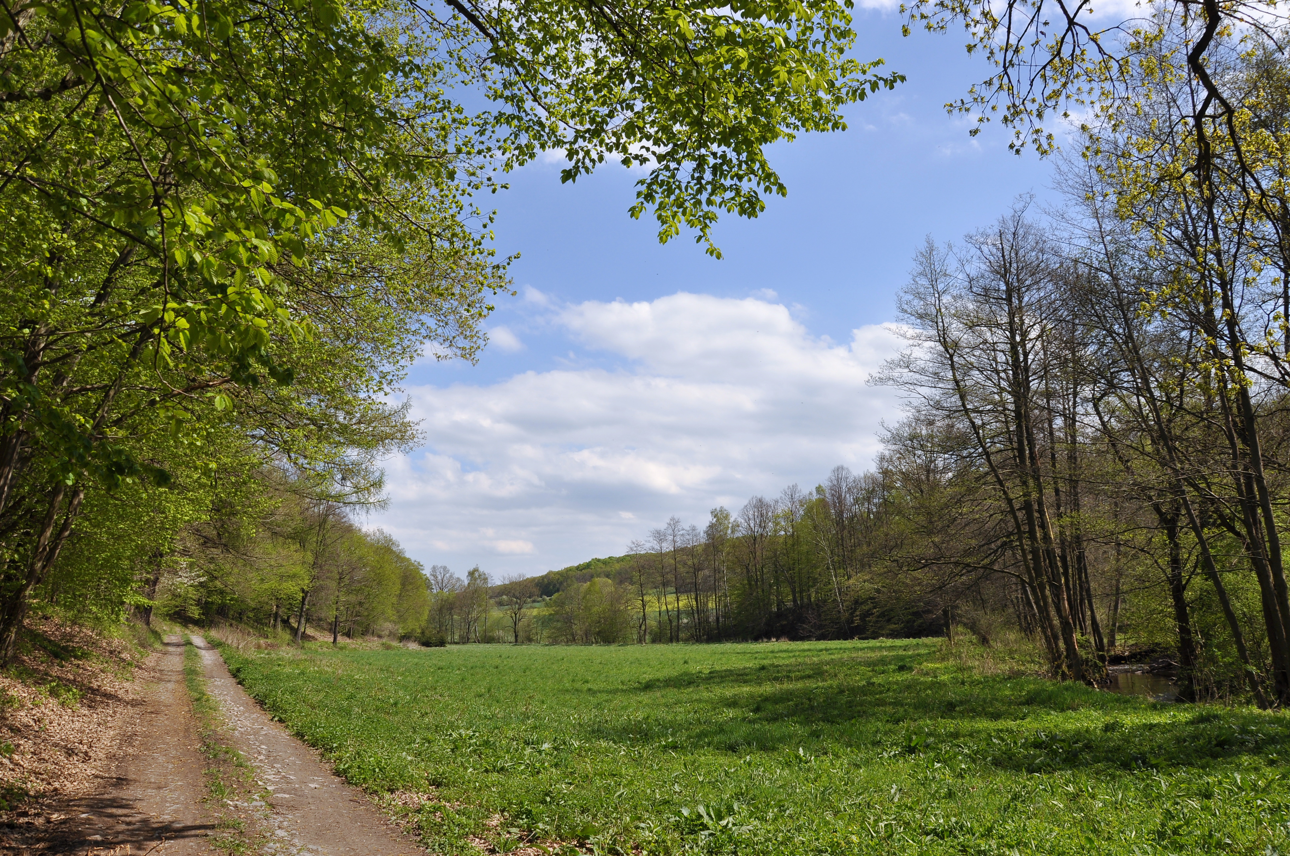 Rezerwat nad Groblą-Czechy - dsc_4555_25683703741_o.jpg