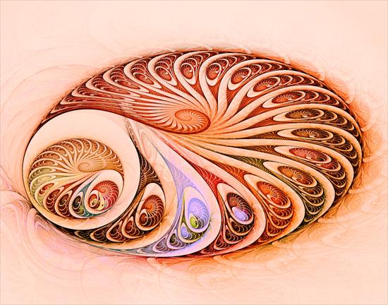  Fractale  - Spirals_in_spirals.jpg