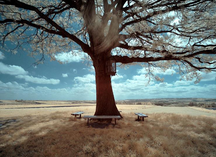 Ławeczka - czasem należy usiąść i zastanowić się - ławeczka stolik pod drzewem.jpg