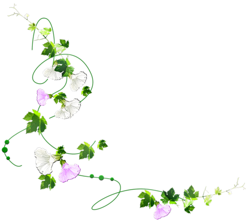 Kwiaty pojedyńcze i kompozycje liściaste - 0_5fa9a_4297f552_L.jpg.png