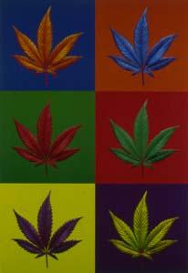 Warhol  Andy - cannabis-dope-andy-warhol-version-4000369.jpg