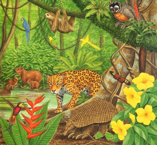 Zwierzęta dżungli - ZWIERZĘTA DŻUNGLI 03.jpg