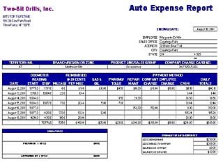 podgląd - Auto Expense Report.jpg