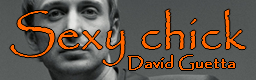 David Guetta - Sexy Chick 130 - david-guetta-banner.bmp
