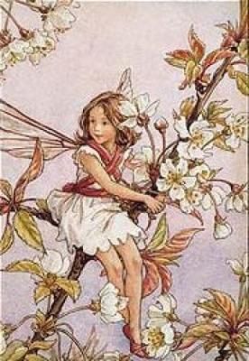 Cicely Mary Barker - Cicely-Mary-Barker-The-Wild-Cherry-Blossom-Fairy-107066.jpg