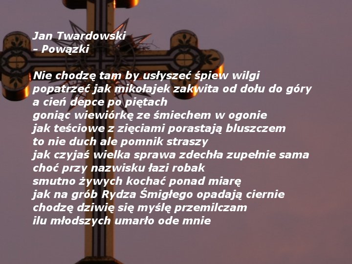 Ks.Jan Twardowski-krzyż - ks. Jan Twardowski - Powązki.jpg