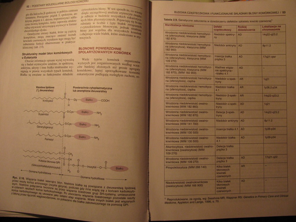 BOOK Podstawy molekularne biologii komórki. Aspekty medyczne - IMG_3834.JPG