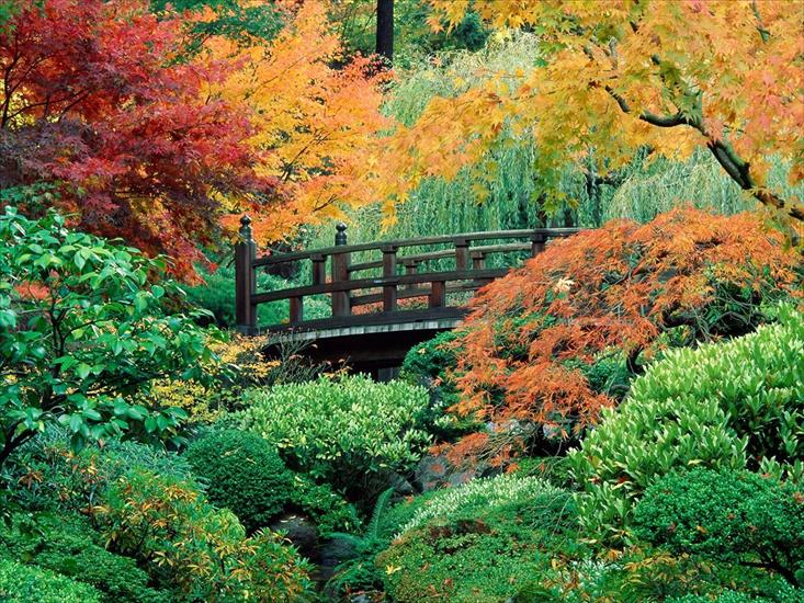 Ogrody - Japanese Garden, Washington Park, Portland, Oregon.jpg