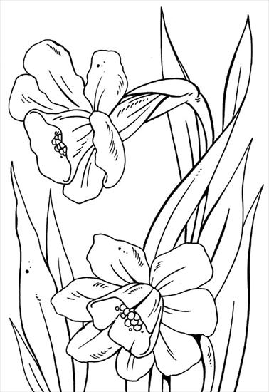 wiosenne kwiaty kolorowanki - File0018.jpg