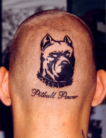 tatuaże 2 - pitbullpower.jpg