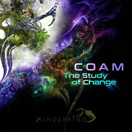 COAM - The Study Of Change 2017 - Folder.jpg