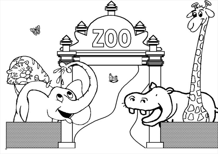 ZOO - zoo 1.JPG