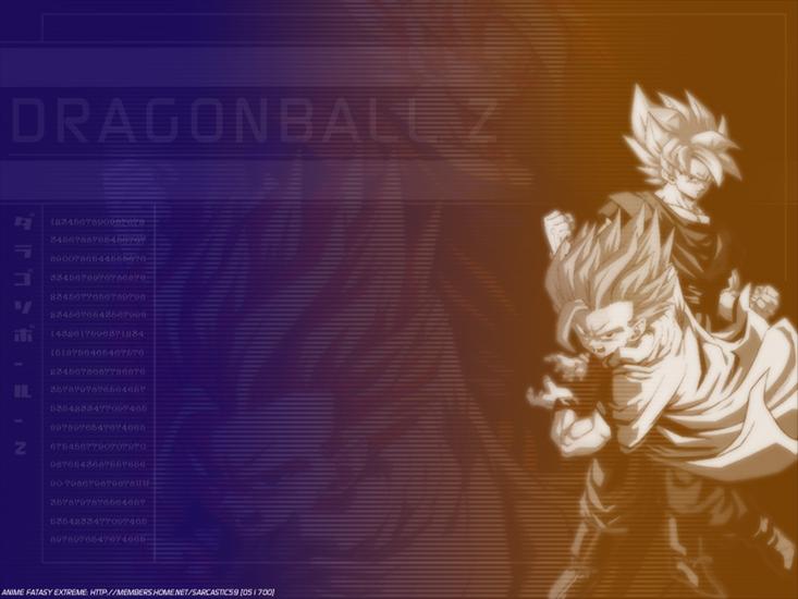  Dragon Ball Tapety - DBZ 2 800X600.JPG