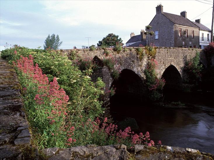 Irlandia - River Boyne, County Meath, Ireland.jpg