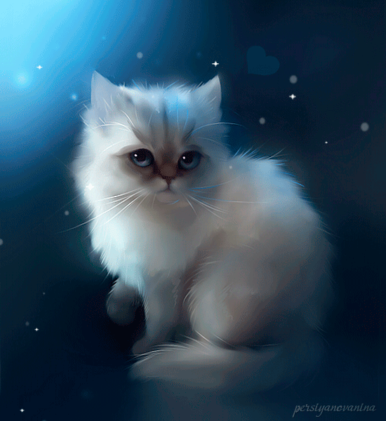 Kotki - Cat Animation.gif