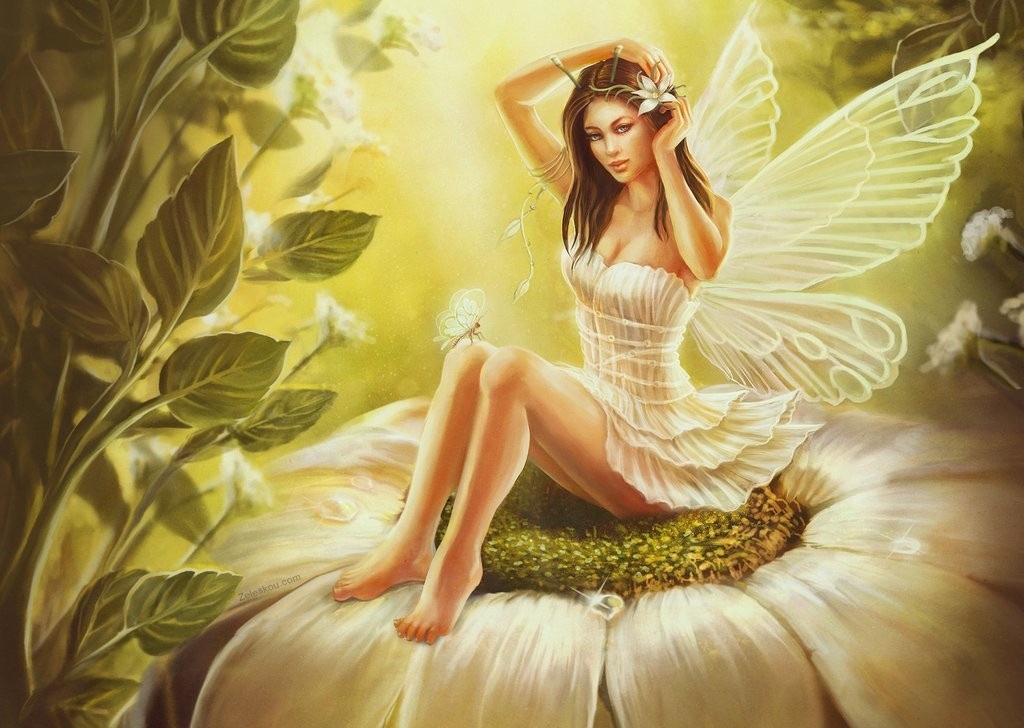 Kobiety motyle - motyl_kwiat.jpg