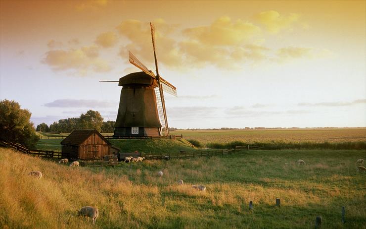 Galeria - Netherlands, Molen bij Alkmaar Windmill near Alkmaar.jpg