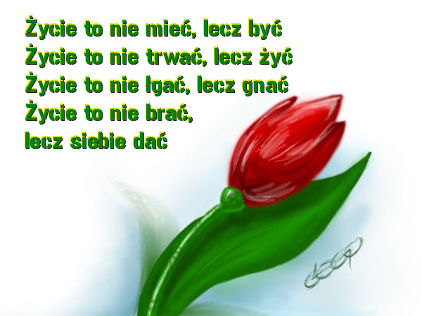 Poezja - 1-ycie-to-nie-mie-lecz-0-7161.jpg