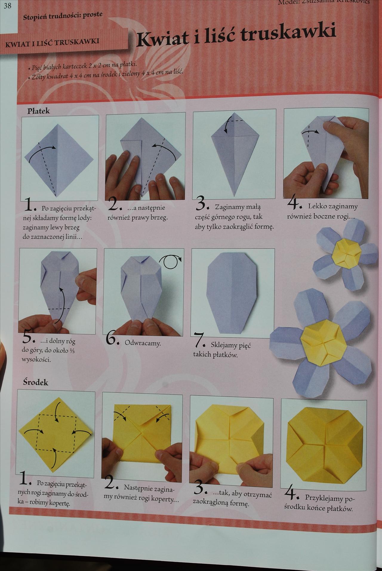 Księga origami - DSC_0078.JPG