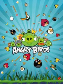 240x320 Angry Birds - angrybirds_5d3m8362.jpg