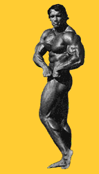 postaci - arnold_schwarzenegger_bodybuilding_poses_animation.gif