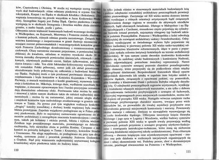 Świechowski- sztuka romańska w polsce 2 - 110.jpg