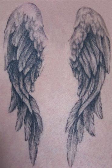 TATUAZE - Angel-Wings-tattoo-30107.jpg