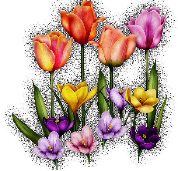  Gify - png.tulipany kwiatki.gif